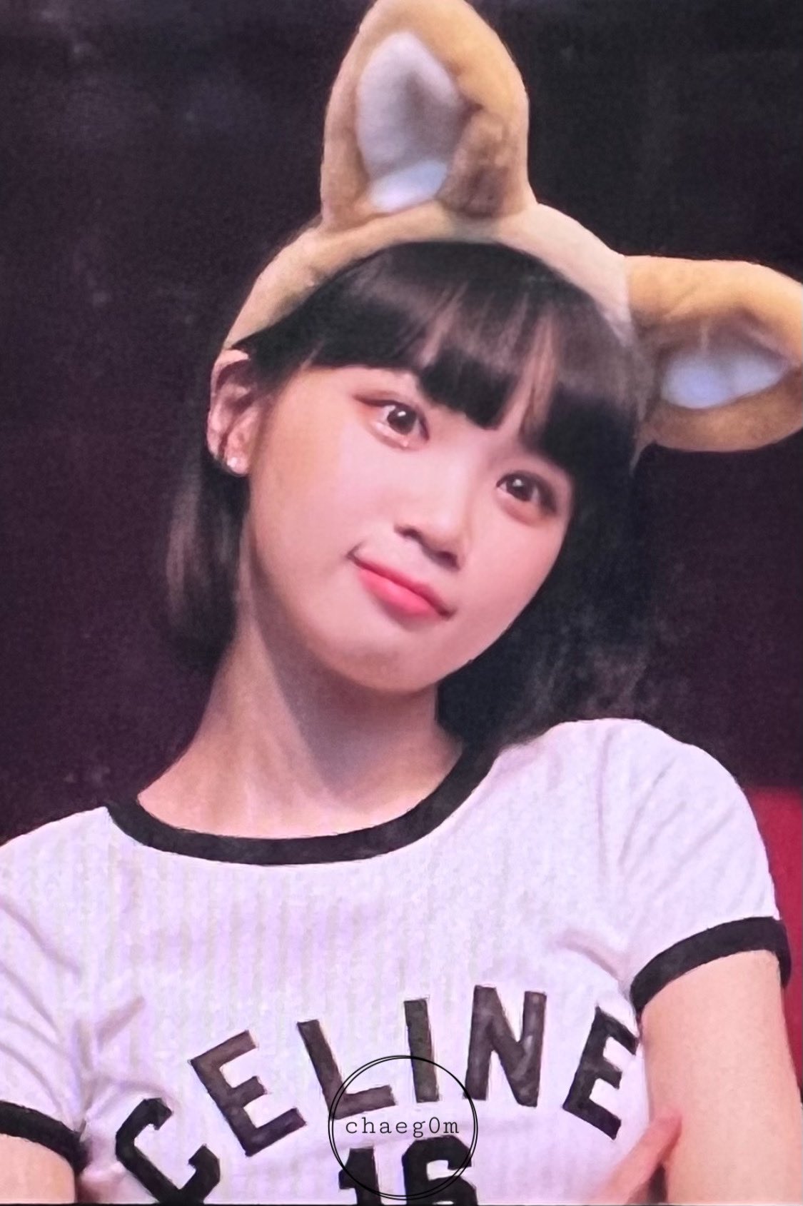 [잡담] 김채원 여우네 | 인스티즈