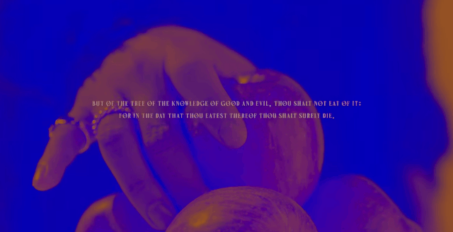 [잡담] 그 독사과 제가 먹을게요.... | 인스티즈