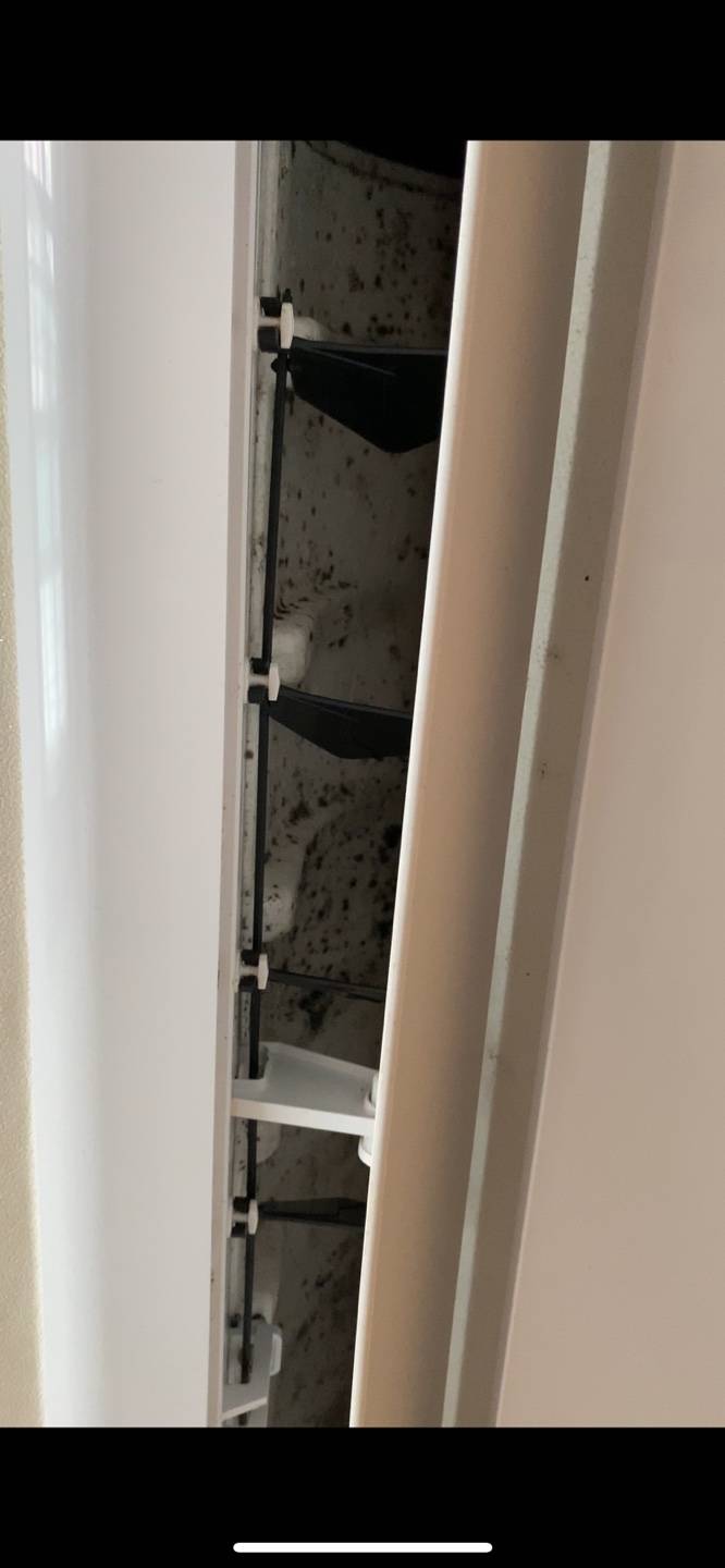 혐오주의)자취방 올해 입주하고 에어컨 한번도 안썼는데 곰팡이가 너무 심해ㅠㅠ | 인스티즈
