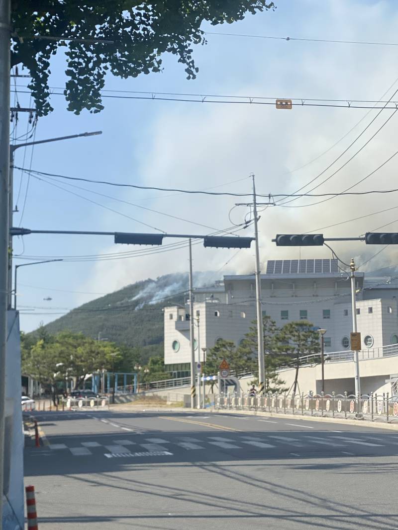 불 진짜 바람때문에 계속 번지는듯 ㅠ | 인스티즈