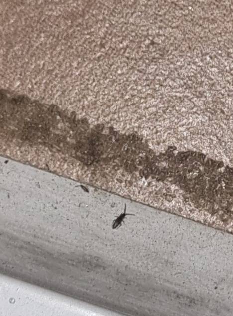 ㅎㅇㅈㅇ) 혹시 이거 바선생 ?ㅜㅜㅠ | 인스티즈