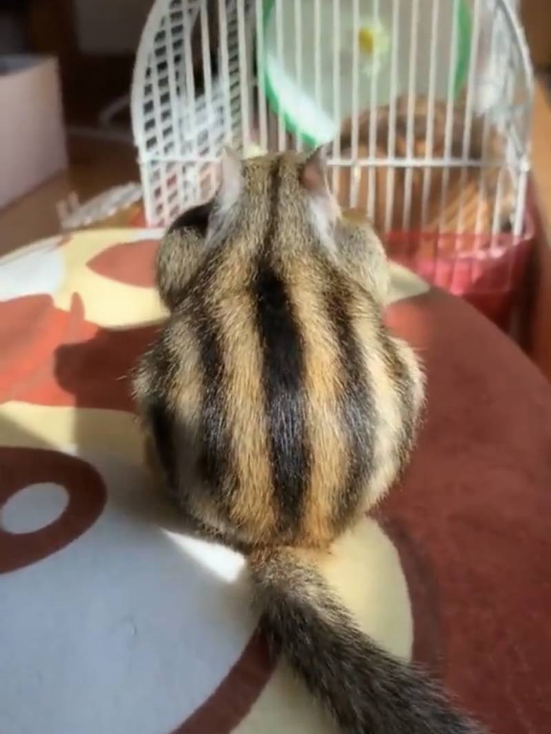 아침부터 행복해질 사람 들어와 | 인스티즈