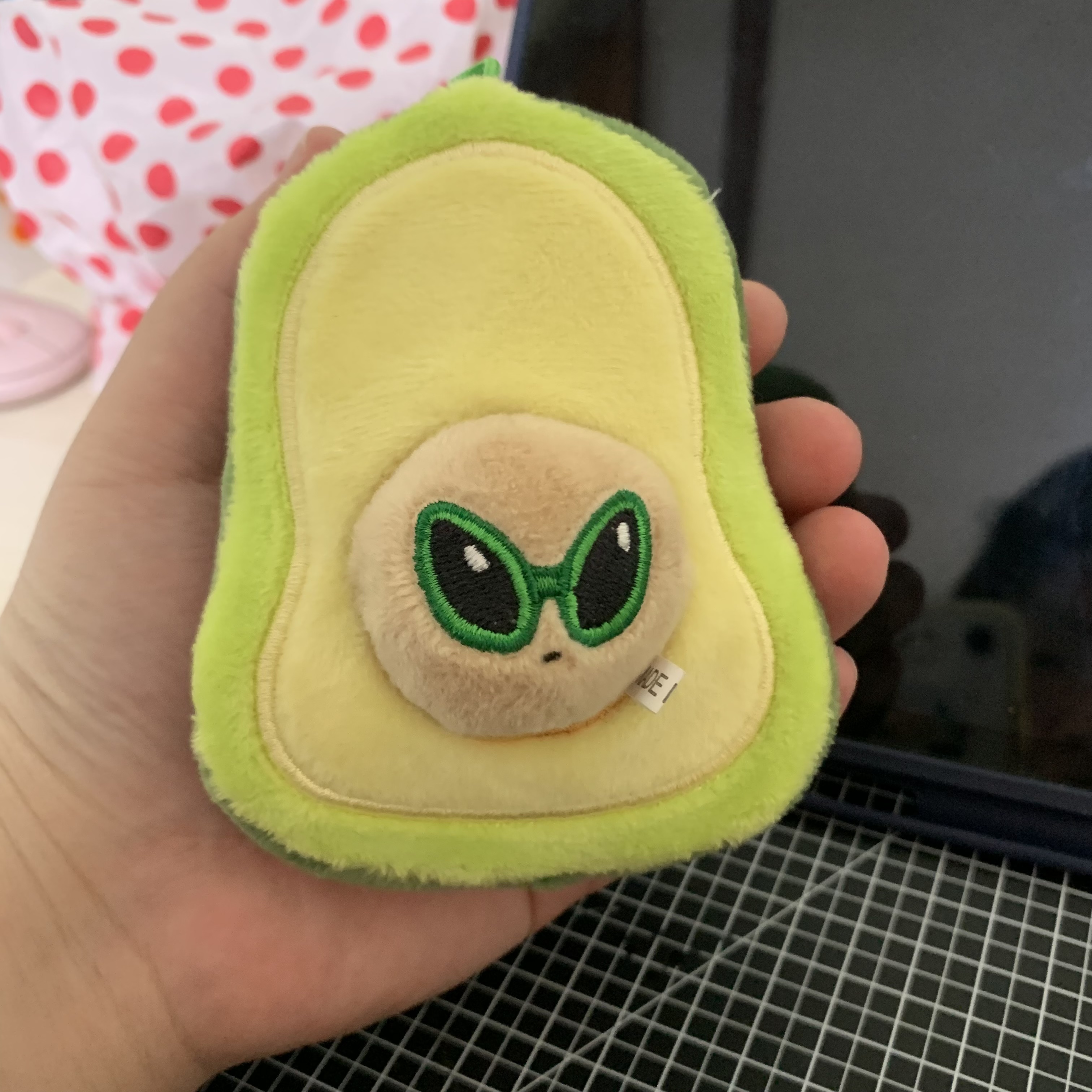 [잡담] 난 버보카도와 뿌라봉 둘 다 가졌지 하하 | 인스티즈