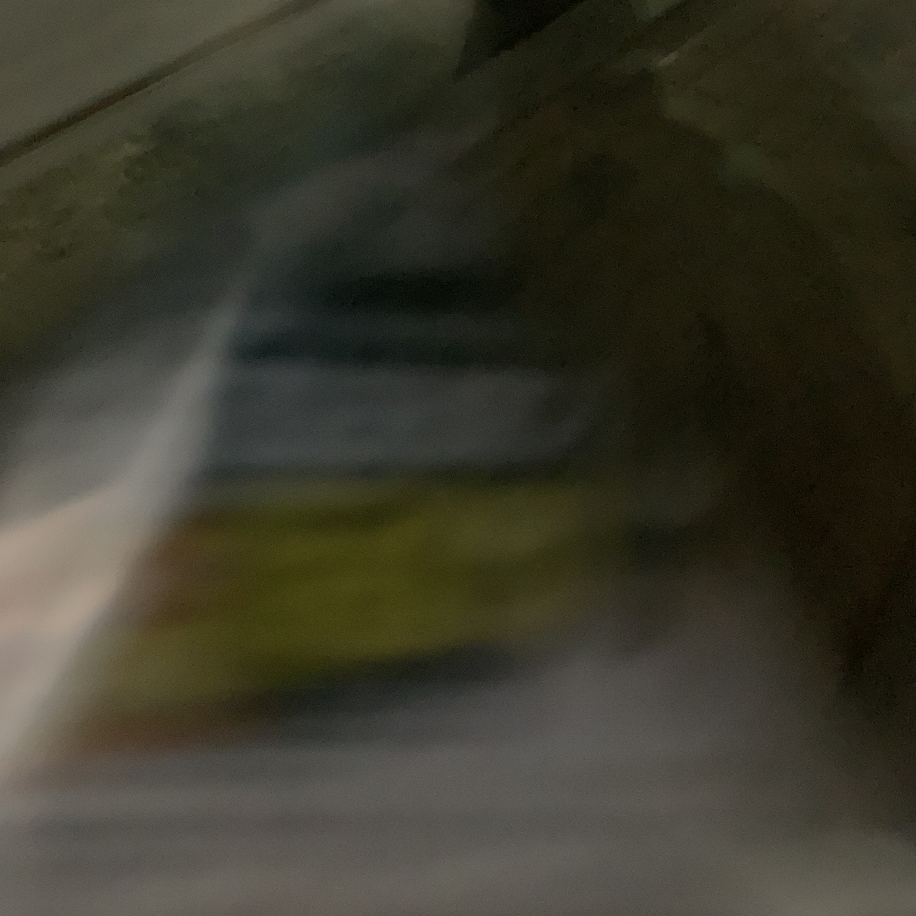 [잡담] 그 세븐틴 매터돌에서 먹었던거 이거 맞아? | 인스티즈