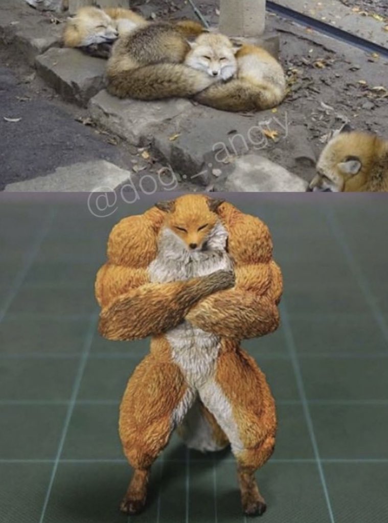 [잡담] 본진에 이런 멤 있는 사람 알려주세요 | 인스티즈