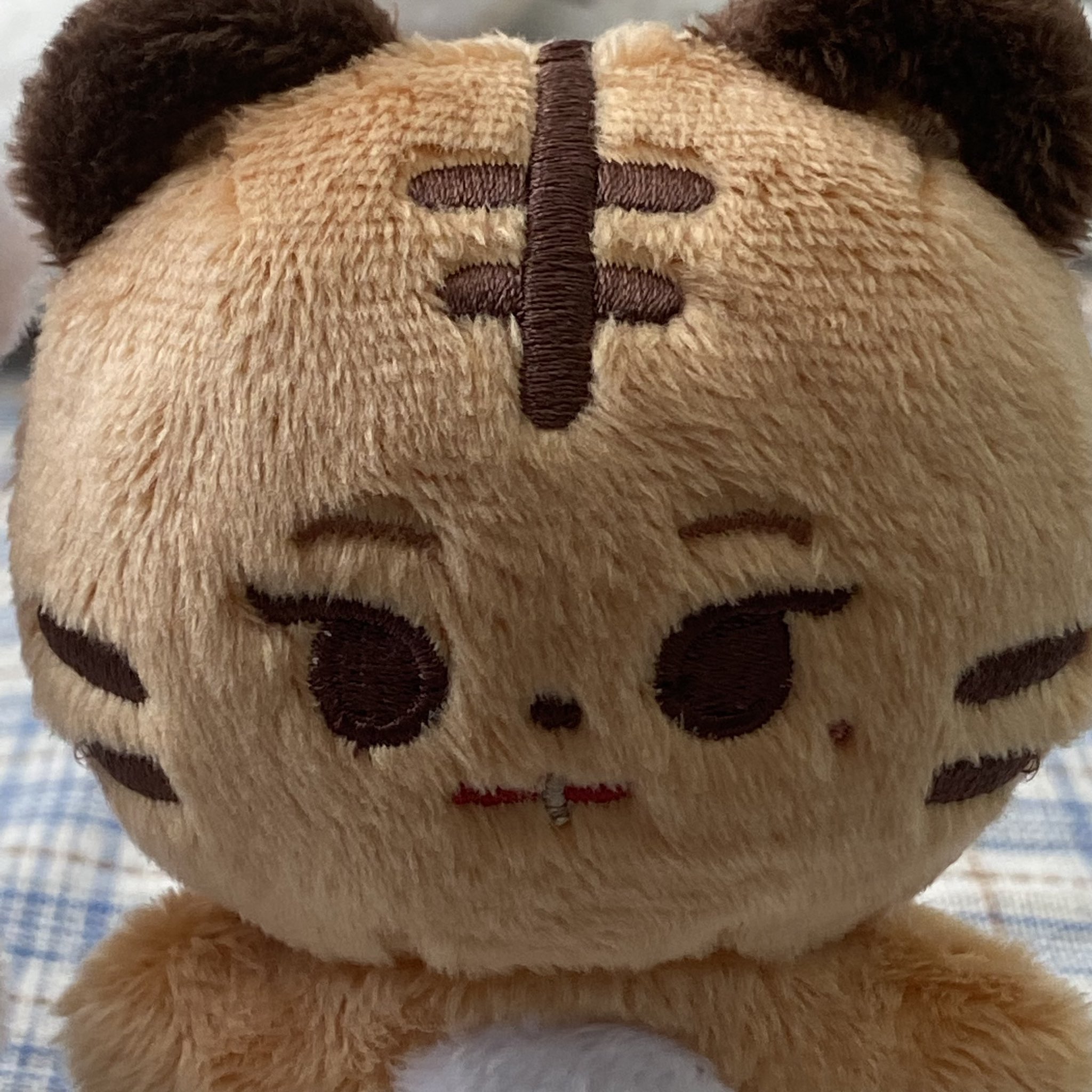 [잡담] 리정이 10cm인형 볼 사람 너무 귀여움ㅠㅠㅠㅠㅠ | 인스티즈