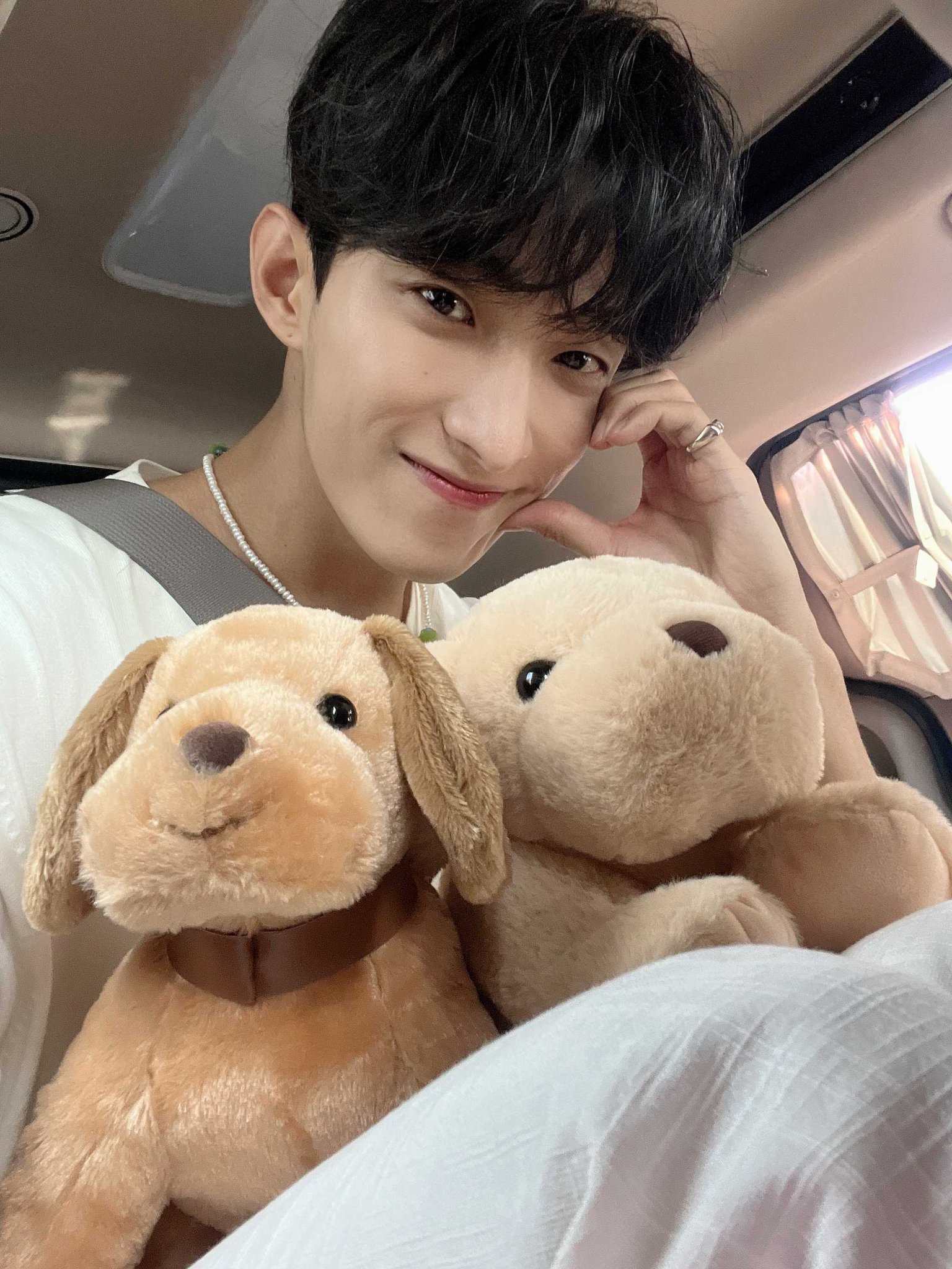 [잡담] 녀석… 강아지 인형이 꽤 마음에 들었나본데… | 인스티즈