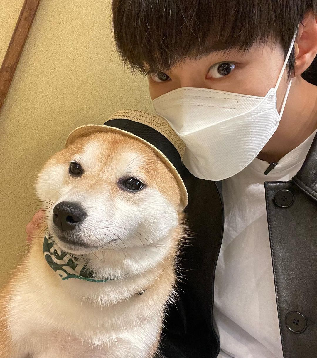 [잡담] 도영 원래 강아지 무서워하는뎈ㅋㅋ | 인스티즈