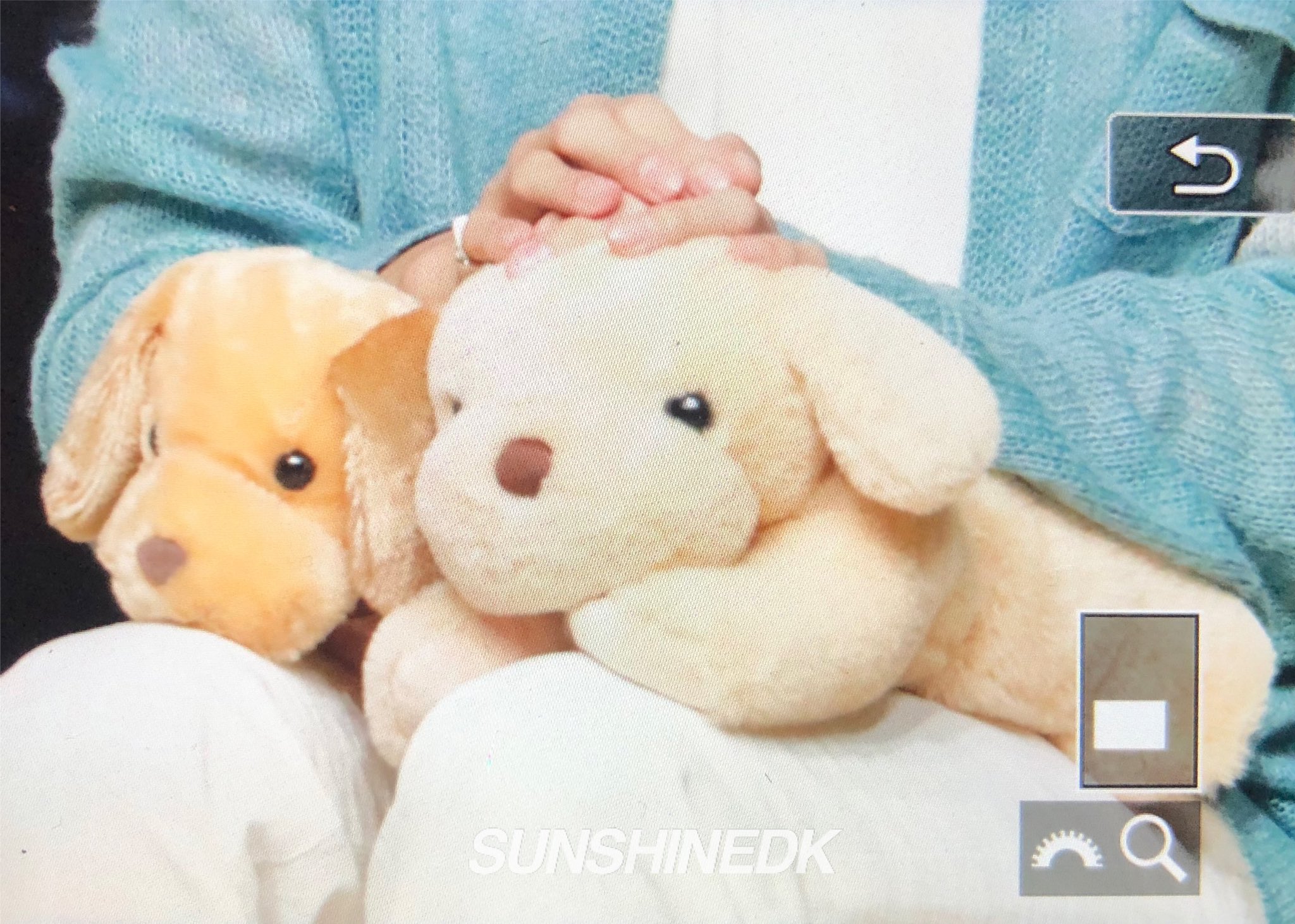 [잡담] 녀석… 강아지 인형이 꽤 마음에 들었나본데… | 인스티즈