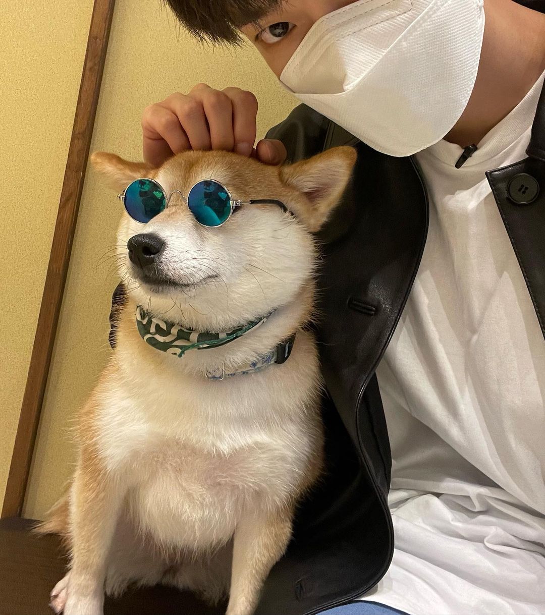 [잡담] 도영 원래 강아지 무서워하는뎈ㅋㅋ | 인스티즈