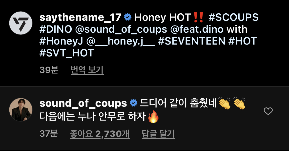 [잡담] 오??? 허니제이랑 에스쿱스 원래 아는 사인가 | 인스티즈