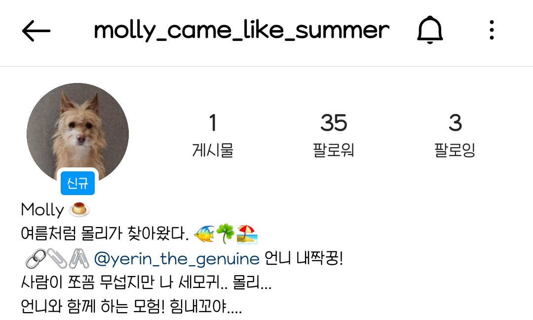 [잡담] 백예린 유기견 입양하고 인스타 만들었당 | 인스티즈
