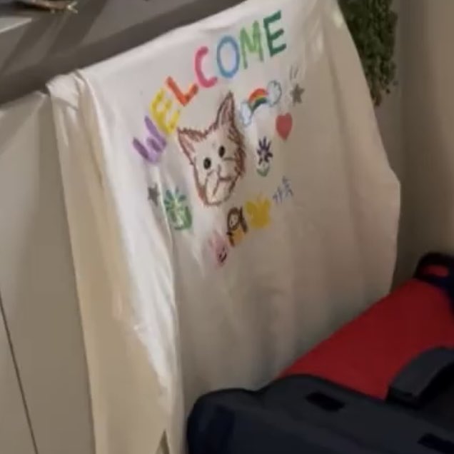 [잡담] 백예린 유기견 입양하고 인스타 만들었당 | 인스티즈