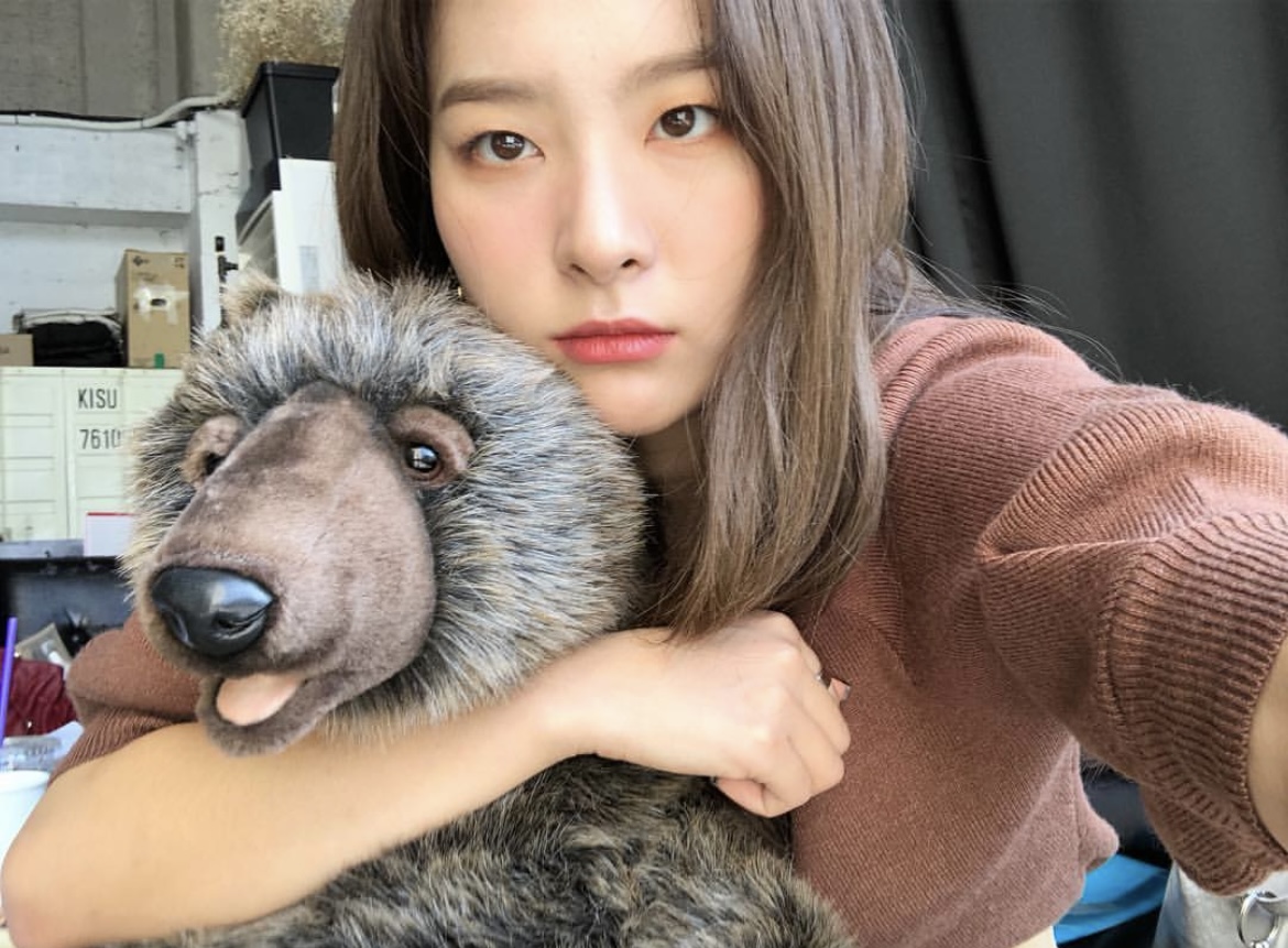 [잡담] 슬기 개인인스타 생기기 전에 공계에 올려줬던 사진 분위기 | 인스티즈