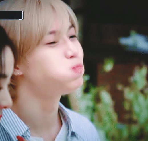 [잡담] 태민아 저녁 먹어!! 맛있게 먹어!!!❤️❤️❤️❤️❤️ | 인스티즈