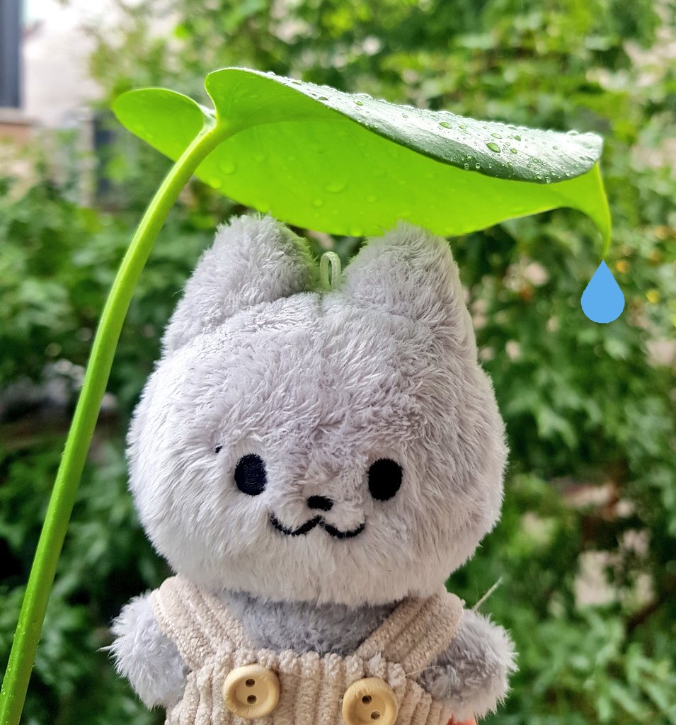 [잡담] 타팬이 보기에 인형 뭐가 더 귀여워보여?? | 인스티즈