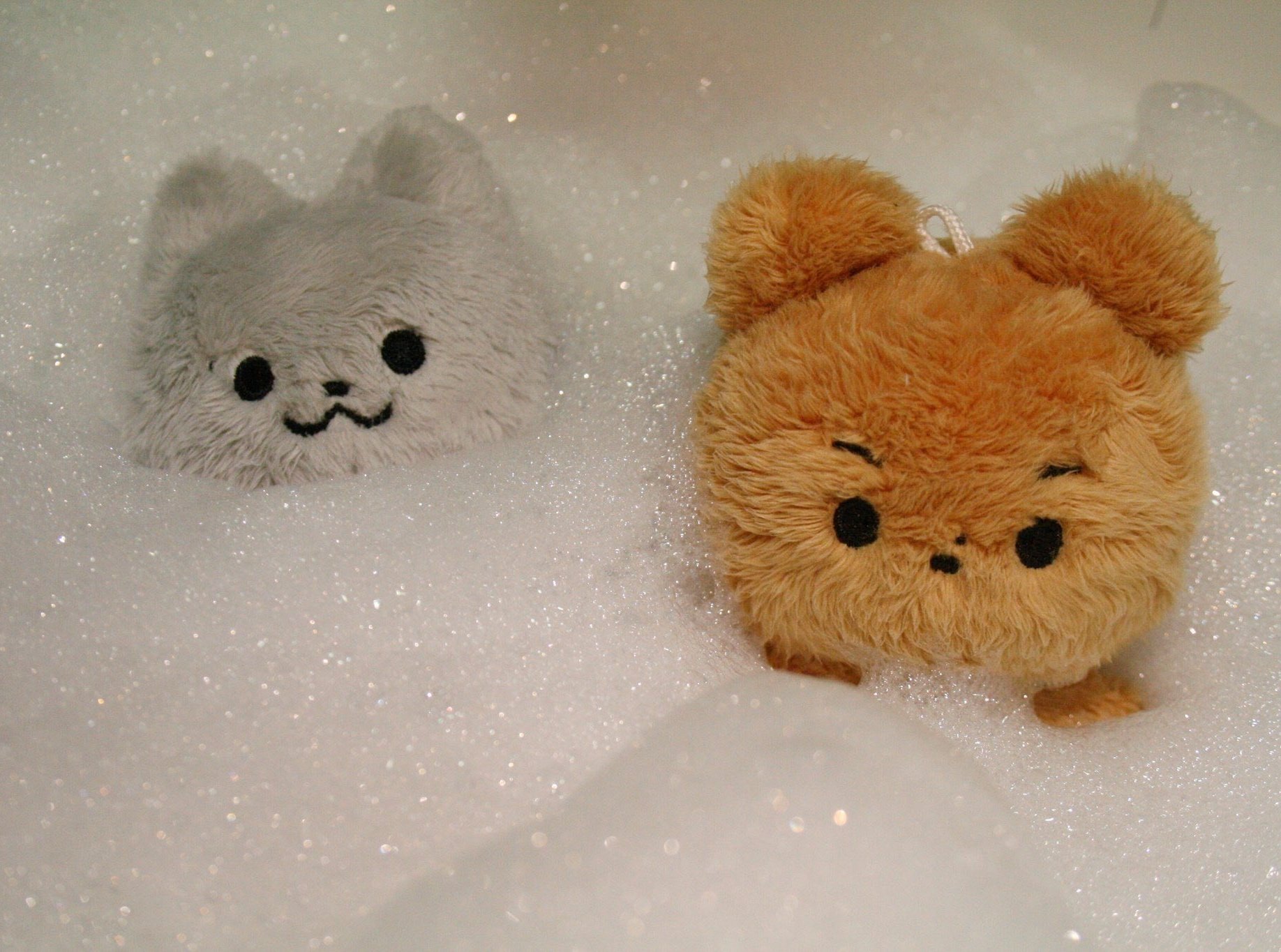 [잡담] 타팬이 보기에 인형 뭐가 더 귀여워보여?? | 인스티즈