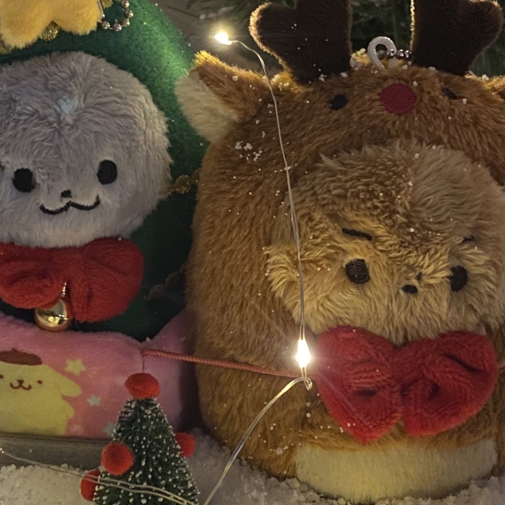 [잡담] 타팬이 보기에 인형 뭐가 더 귀여워보여?? | 인스티즈