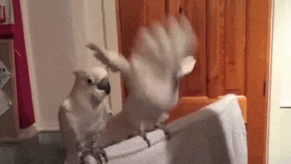 [잡담] 아 개씐나!!!! | 인스티즈