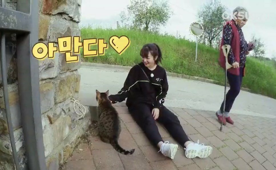 [잡담] 슬기 찐 인간캣닢임 길고양이들이 너무 좋아햌ㅋㅋㅋㅋㅋㅋ | 인스티즈