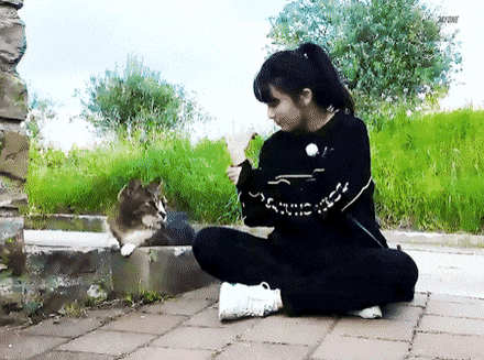 [잡담] 아 슬기 동물들이 뭘로 보는지 모르겠는데 붙어있으면 개웃김 | 인스티즈