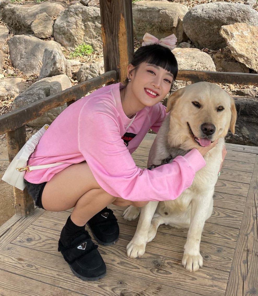 [잡담] 강아지가 민니 안좋아하는 거 웃김 | 인스티즈