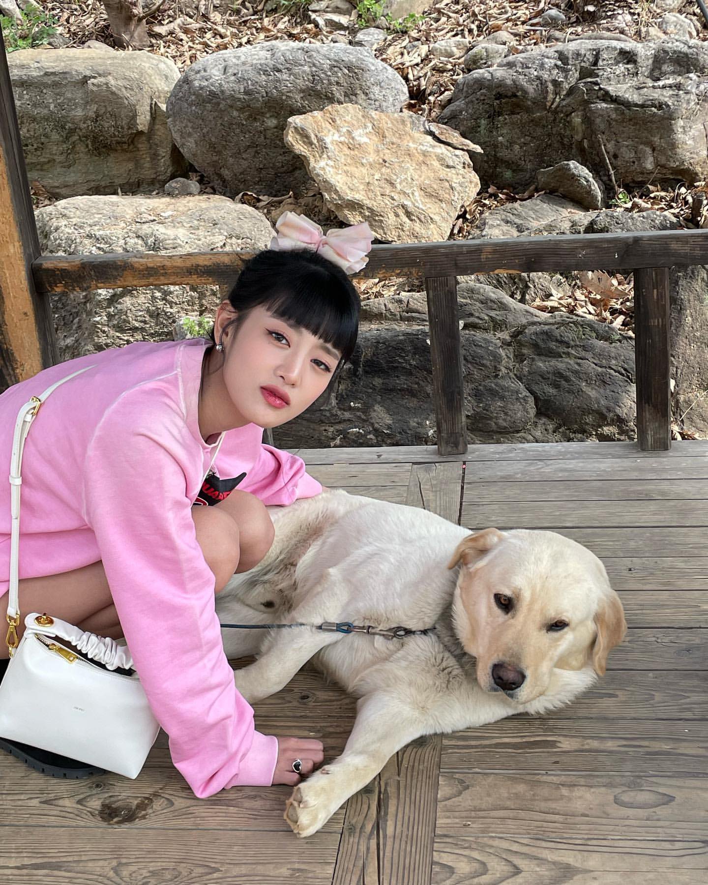 [잡담] 강아지가 민니 안좋아하는 거 웃김 | 인스티즈