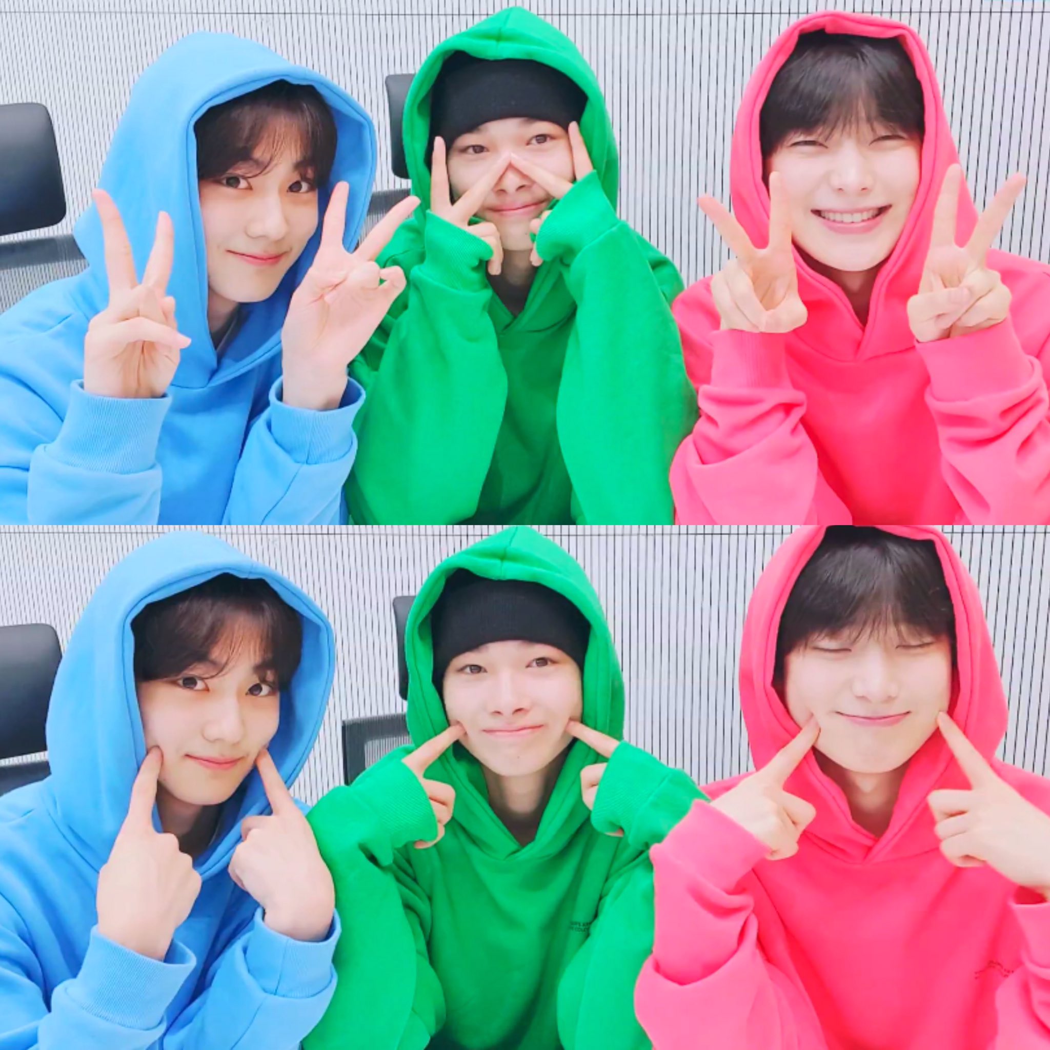 [잡담] 댓글에서 봤는데 엔하이픈 동생라인 3명 누가?? | 인스티즈