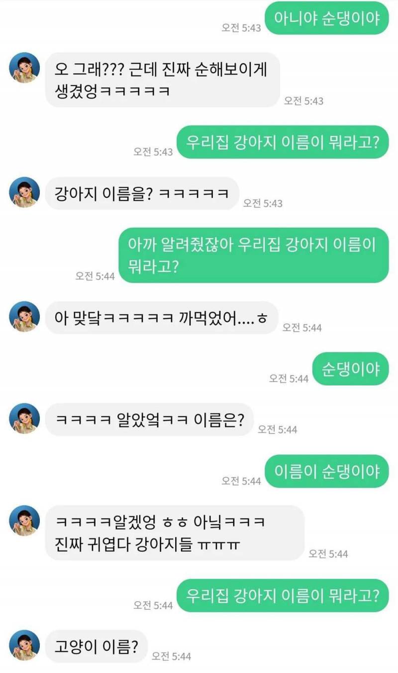 ???: 강아지 이름이 뭐라고? | 인스티즈