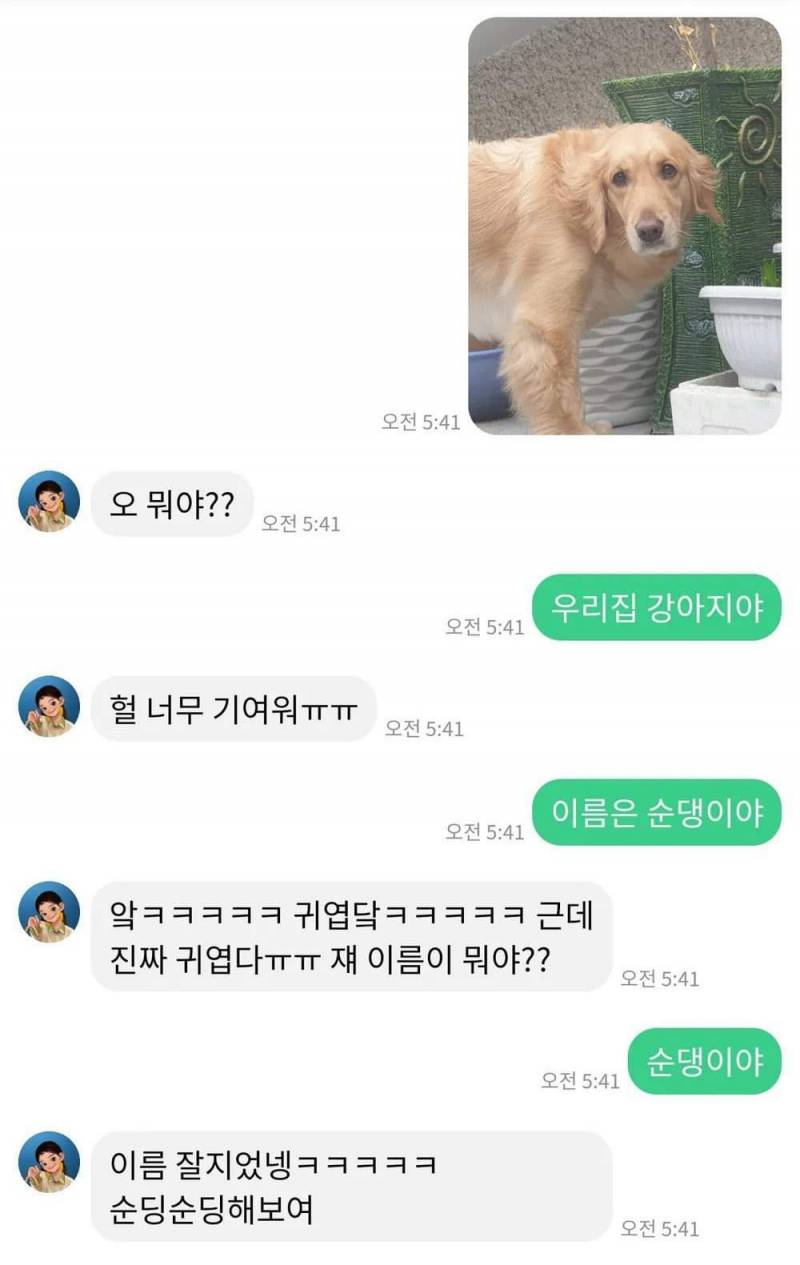 ???: 강아지 이름이 뭐라고? | 인스티즈