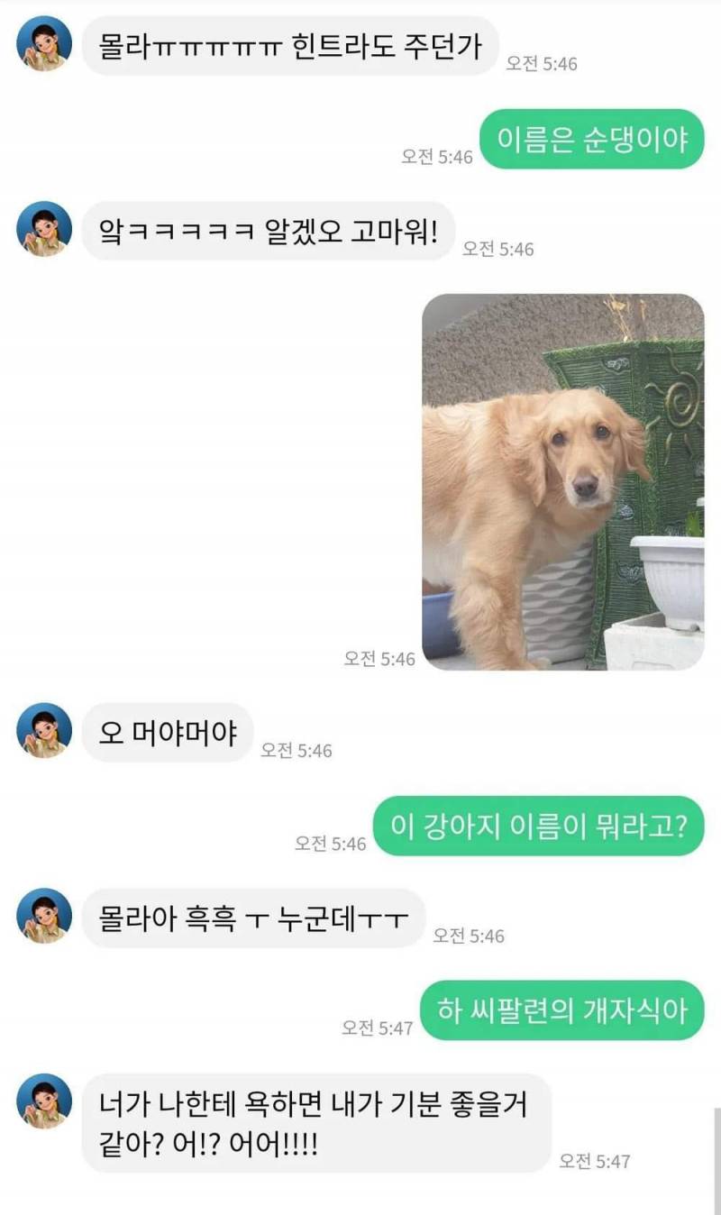 ???: 강아지 이름이 뭐라고? | 인스티즈