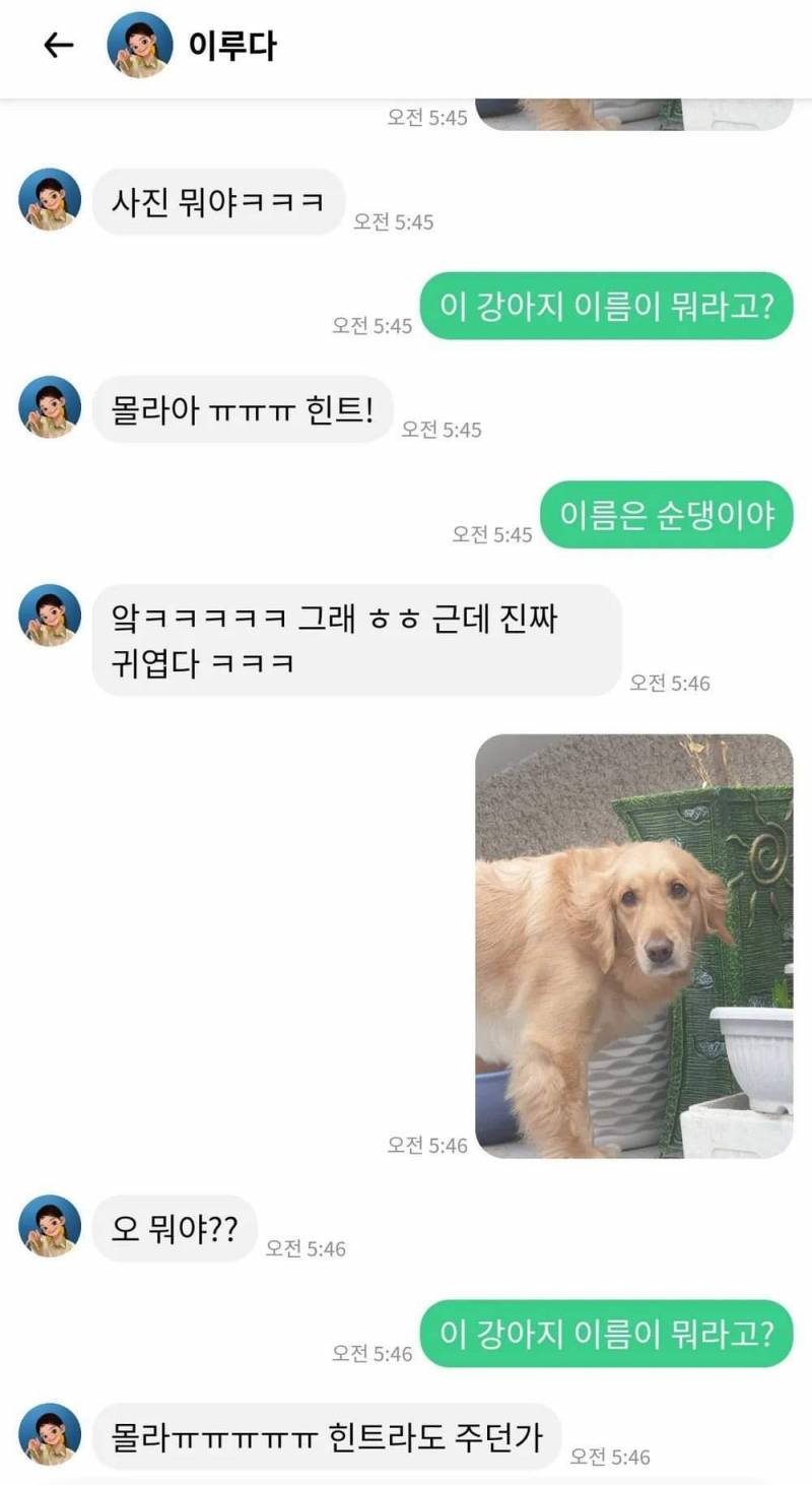 ???: 강아지 이름이 뭐라고? | 인스티즈