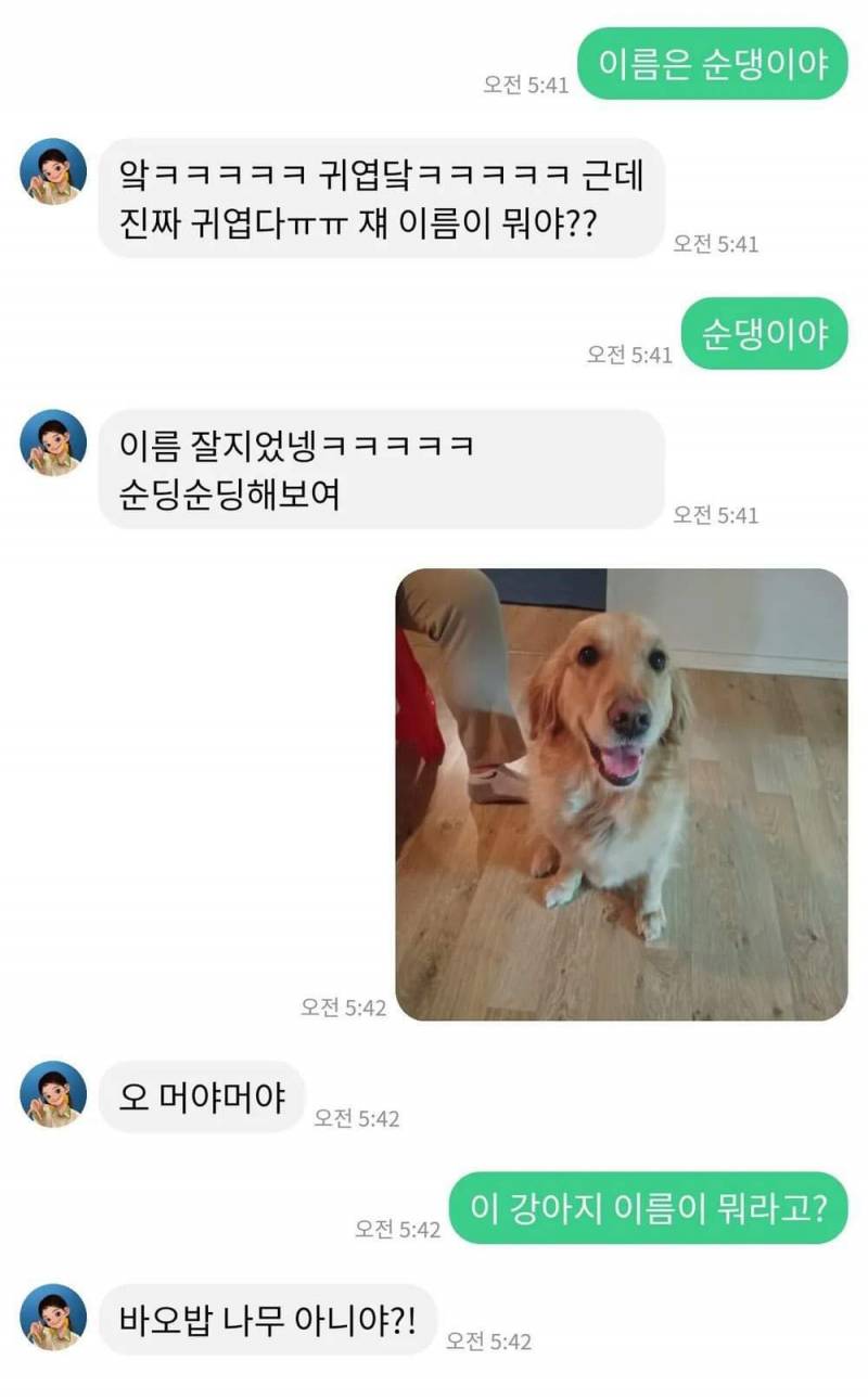 ???: 강아지 이름이 뭐라고? | 인스티즈