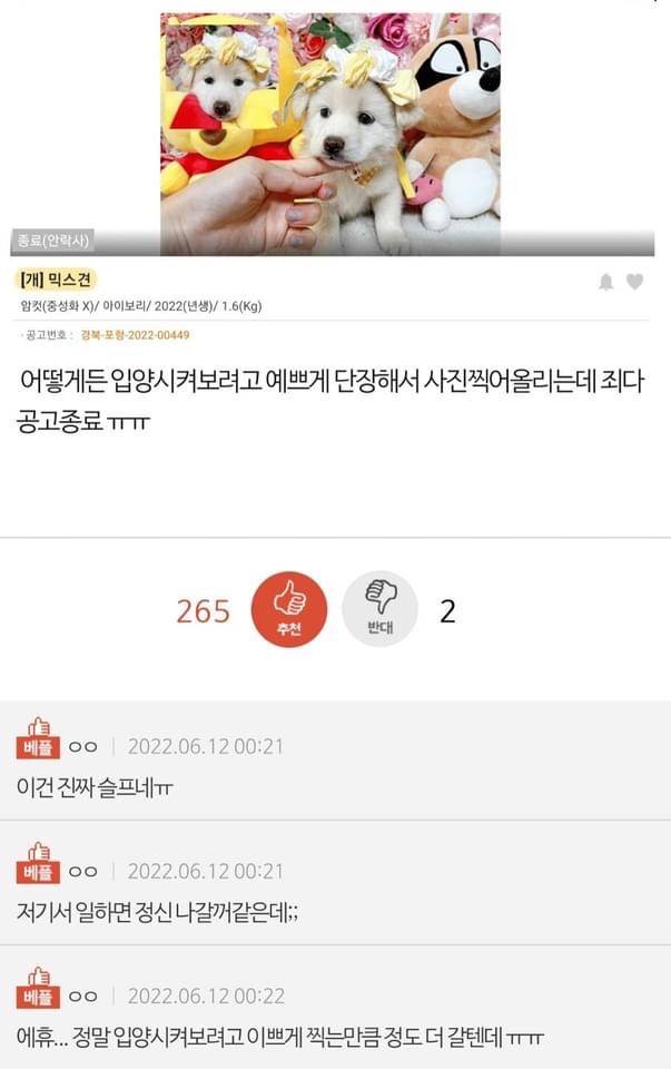 아 나 진짜 우는중 | 인스티즈