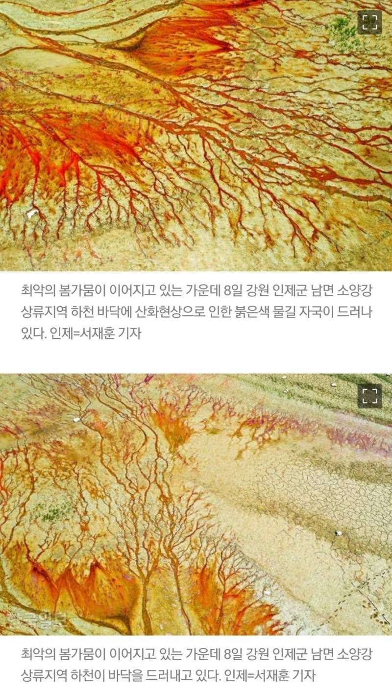 워터밤 관련 소신 발언한 배우 이엘에게 달린 덧글 | 인스티즈