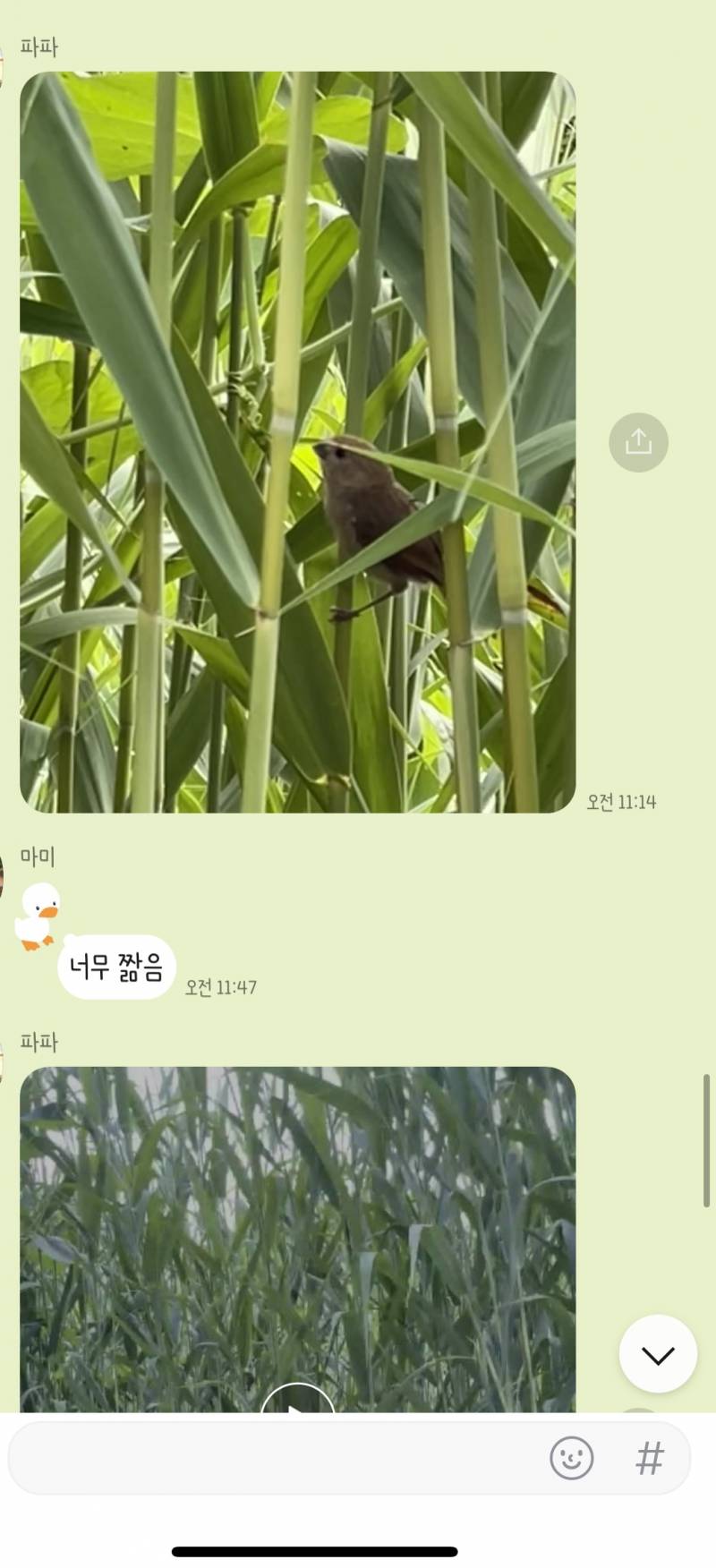 아 엄빠 대화 왜케 웃기지 | 인스티즈