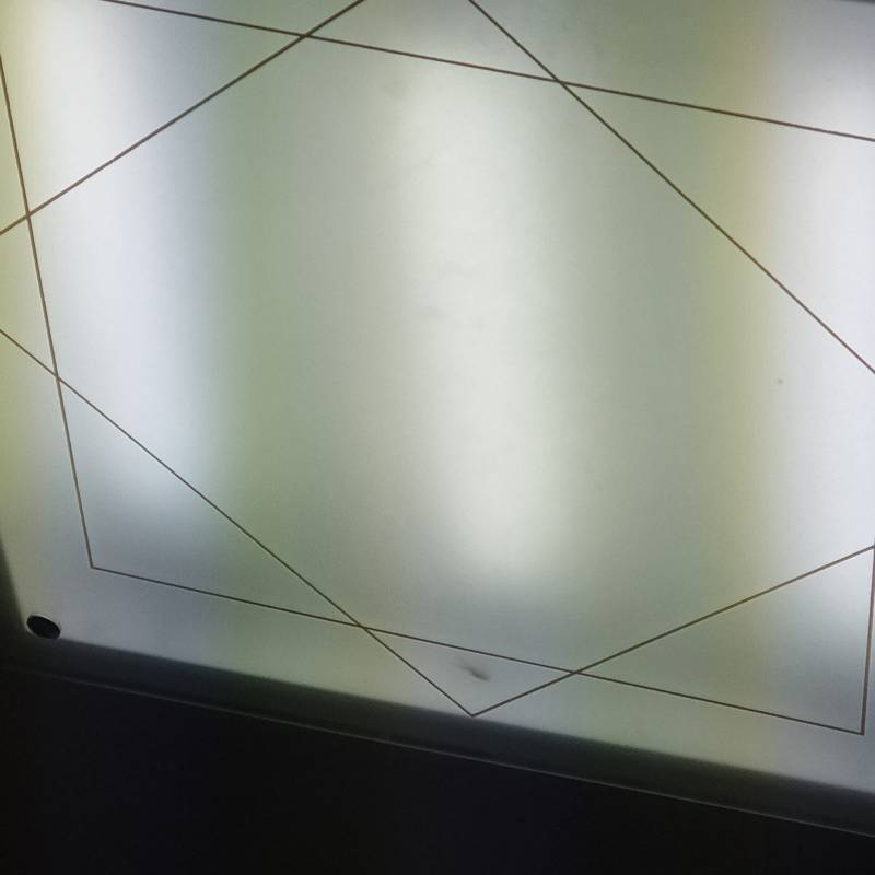 익들아 이건 무슨 벌레의 실루엣일까 ,,,?? | 인스티즈