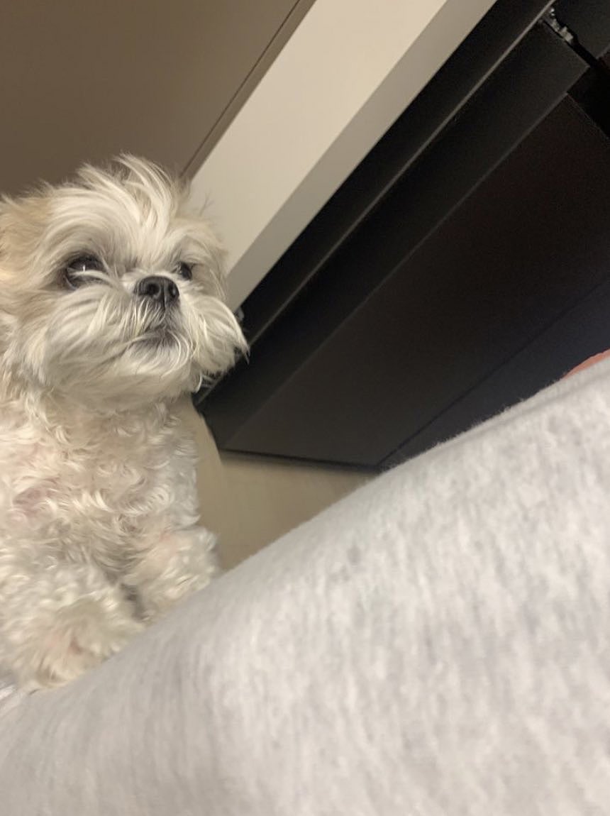 [잡담] 다롱이❤️ | 인스티즈