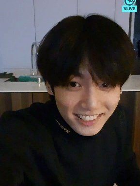 [잡담] 오늘 전정국 완젼 강쥐 | 인스티즈