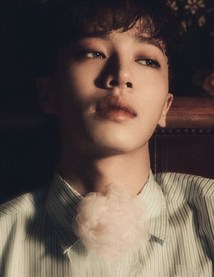 [잡담] 내가 제일 사랑하는 이기광 사진 | 인스티즈