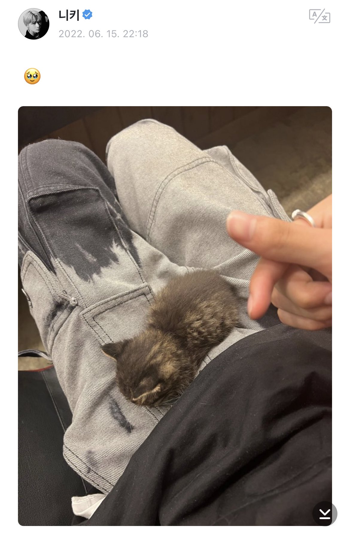 [잡담] 엔하이픈 착한줄 알았는데 촬영장에서 자기들끼리만 고양이 구경하네 | 인스티즈