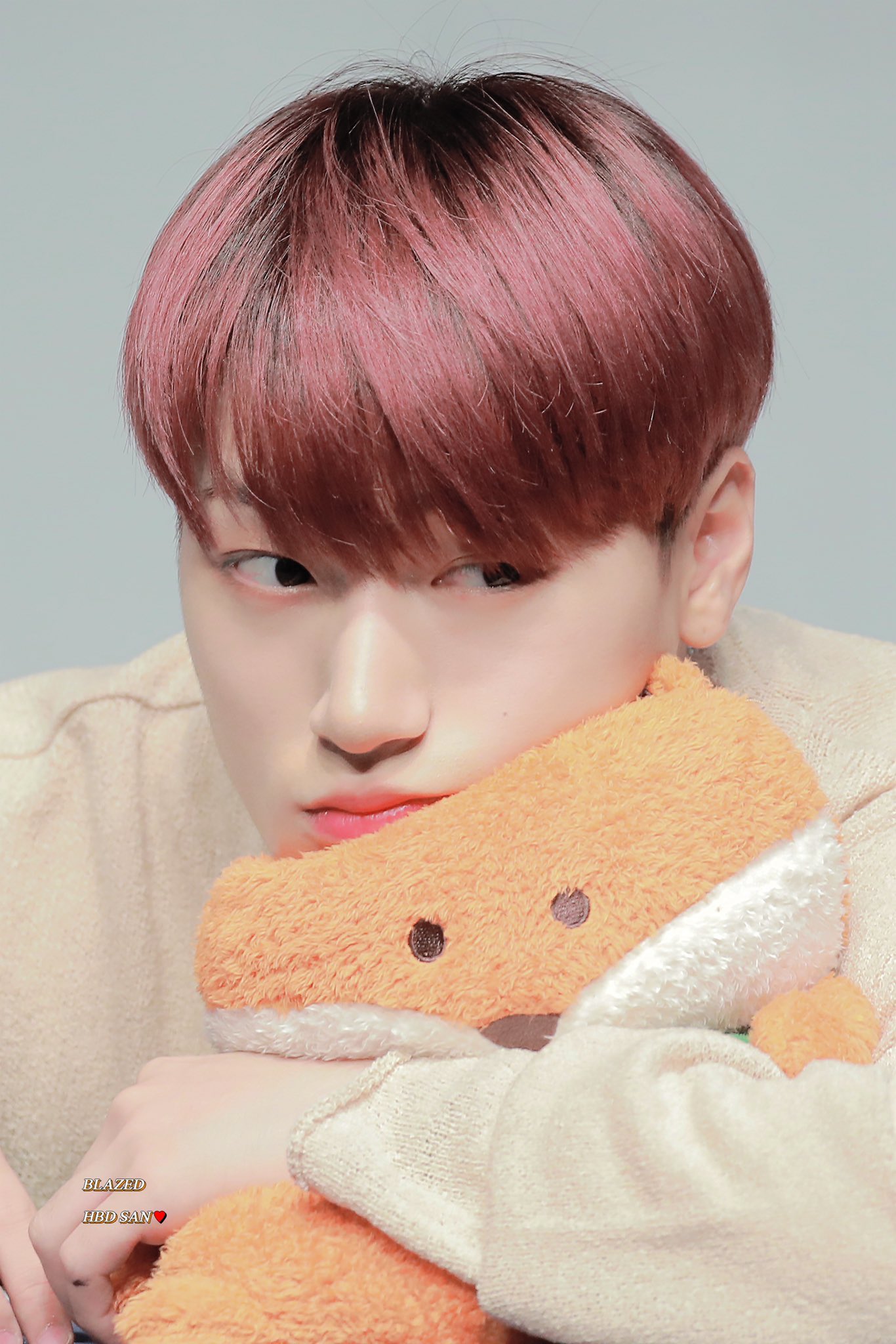 [잡담] 고양이과다그릅에서 당당히 고양이 모애화를 차지한 | 인스티즈