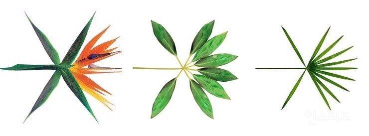 [잡담] 엑소 여름앨범이랑 겨울앨범 색깔 확실하고 되게 좋음 | 인스티즈