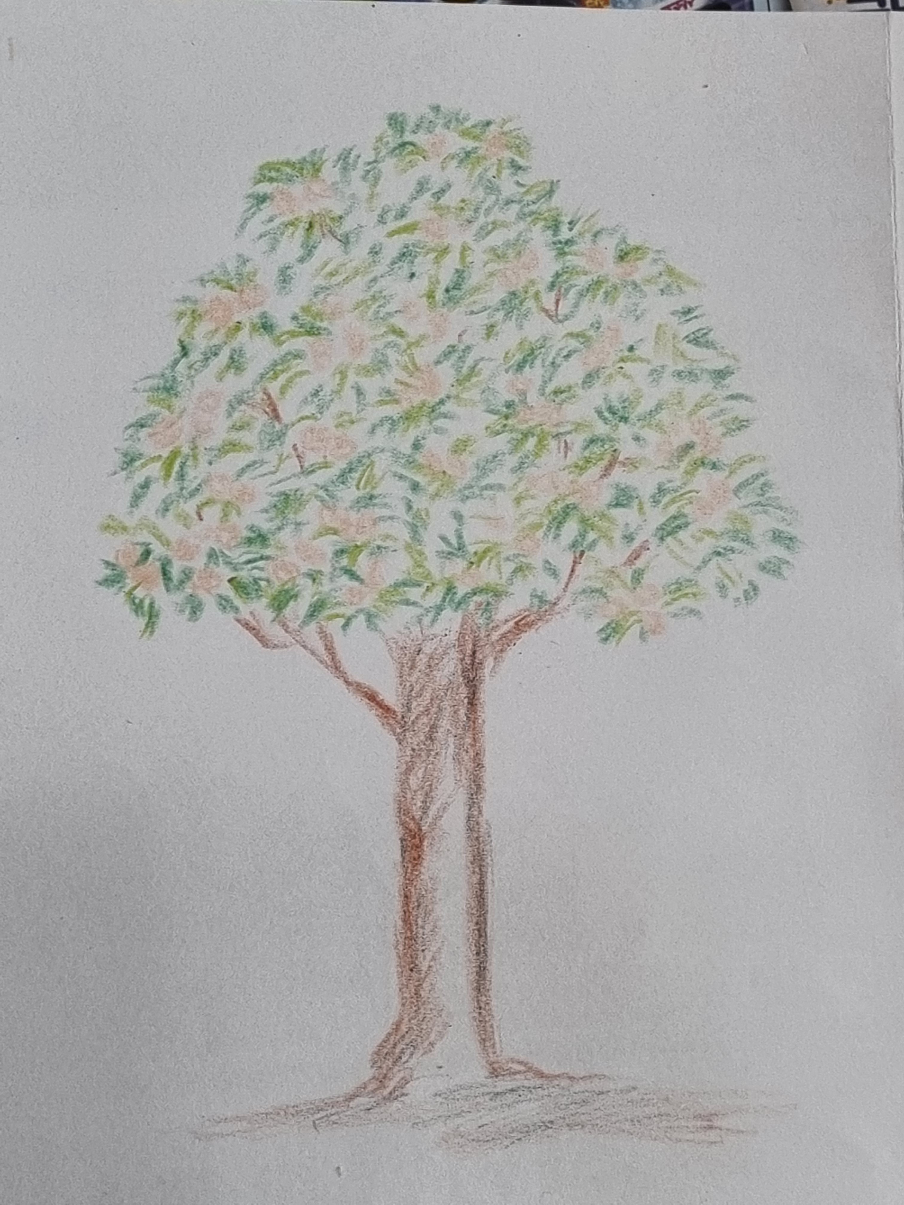 나무 | 인스티즈