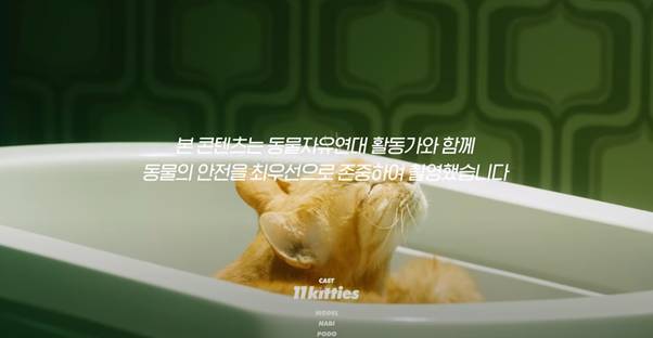 제이홉이 갑자기 고양이 뮤비를 추천한 이유.jpg | 인스티즈