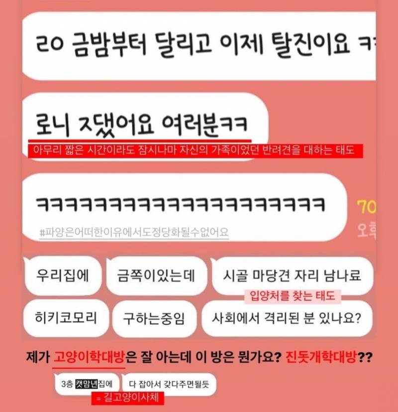 내 살다살다 이런 파양이유는 또 처음 봄....twt | 인스티즈