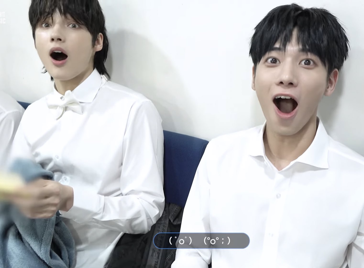 [잡담] 아기 멍게 | 인스티즈