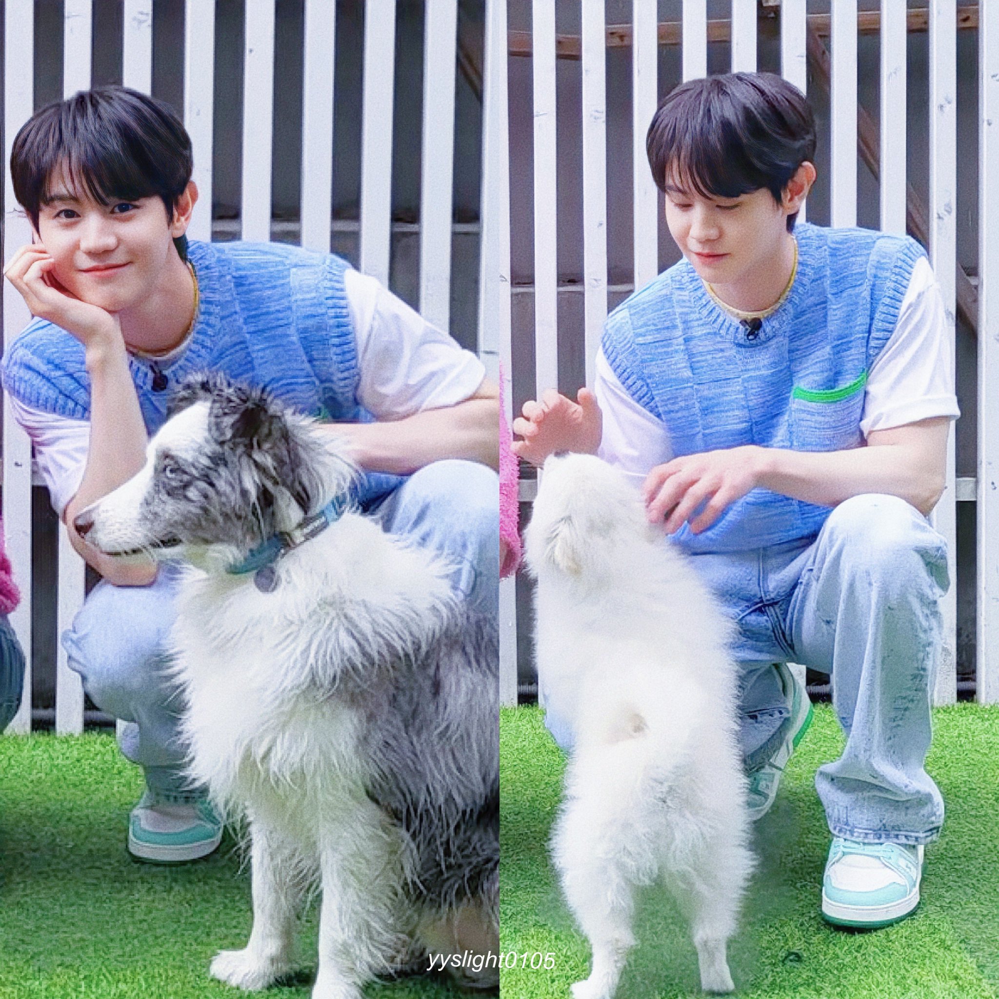 [잡담] 우리집 고양이 자랑😽 | 인스티즈