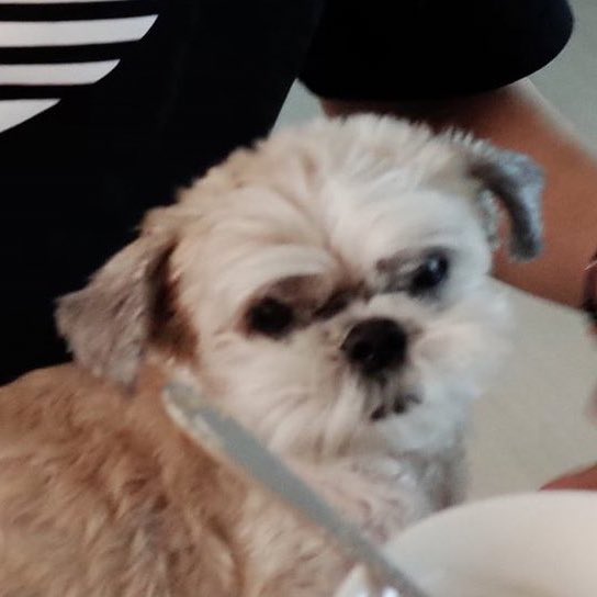 [잡담] 이재현 더보이즈 현재 다롱이 이 사진 겁나 마음에 들어할만도 함 | 인스티즈