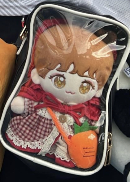 [잡담] 이 인형 어떤 아이돌 인형이야? | 인스티즈